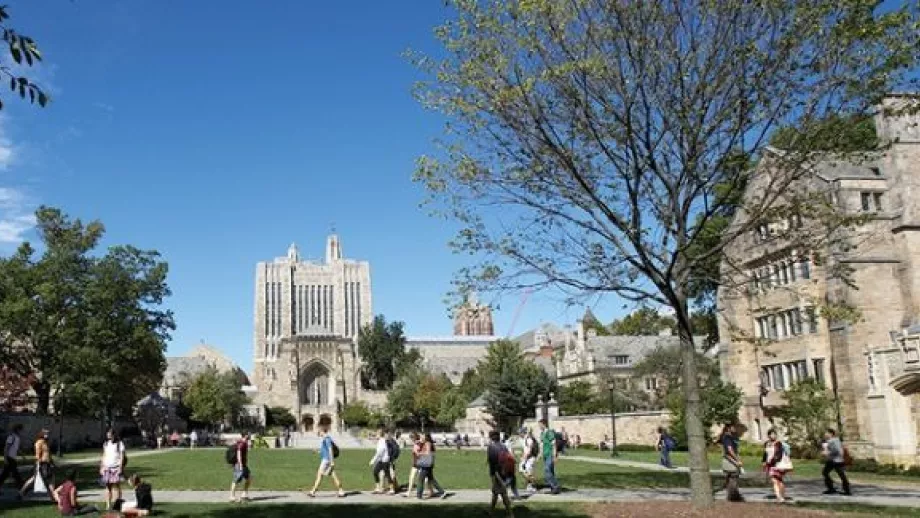 What Is The Acceptance Rate For Yale For International Students 20242025?